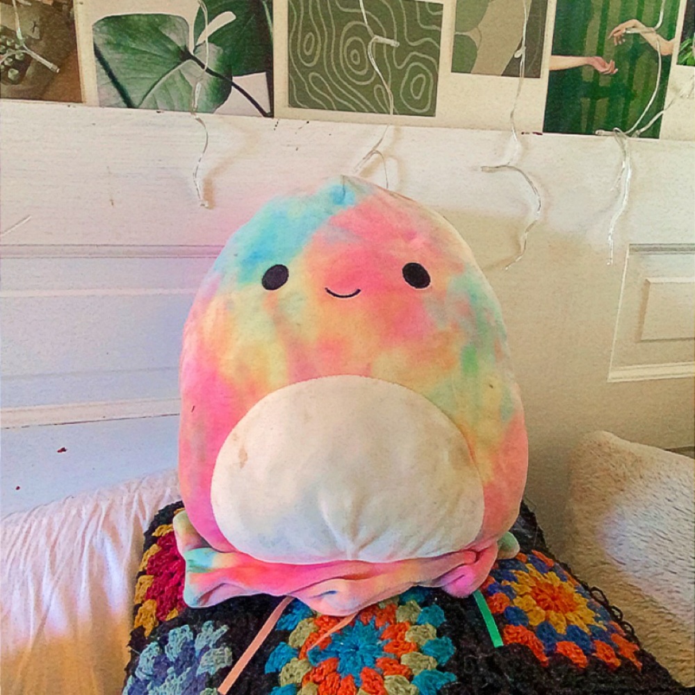 1 squishmallow